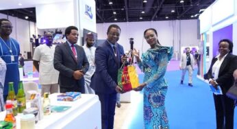 L’agence de promotion des investissements (API) – Mission de prospection à Dubaï et en Inde